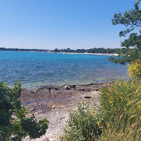 Neu Renovierte Ferienwohnung Mit Klima, Wlan, Terrasse Und Grill Пула Екстериор снимка